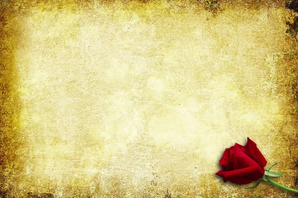 Винтажный Фон Красной Розой — стоковое фото