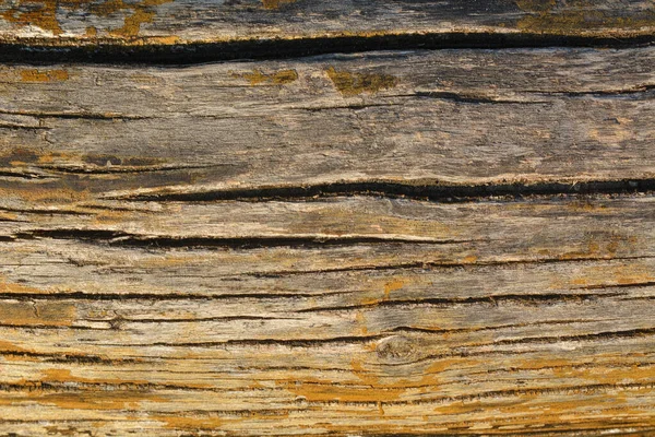 Oude Hout Textuur Achtergrond — Stockfoto