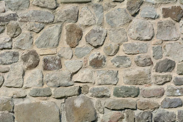 돌벽의 — 스톡 사진