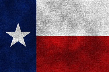 Texas bayrak Grunge arka plan