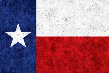 Texas bayrak Grunge arka plan