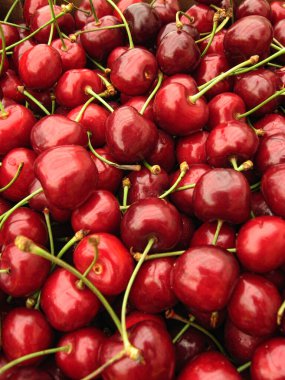 Taze organik kirazlar, kapatın.