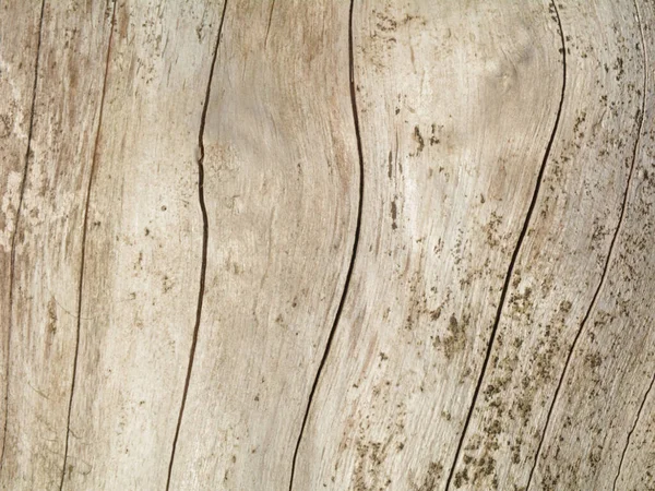Stare Tekstury Drewna Naturalnym Wzorem — Zdjęcie stockowe