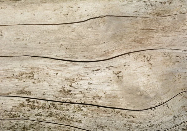 Деревянная Текстура Естественным Фоном — стоковое фото