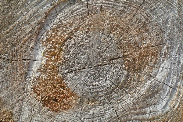 Tekstura Starego Drewnianego Tła — Zdjęcie stockowe