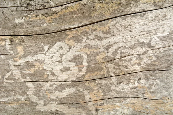 Tekstura Drewniana Starego Drewna — Zdjęcie stockowe