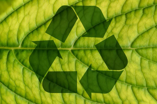 Ekologiczny Znak Recyklingu — Zdjęcie stockowe