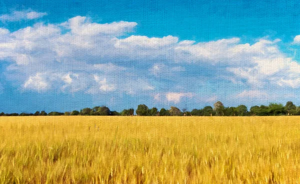beautiful landscape with a field of wheat