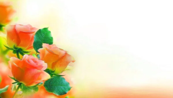 Красиві Троянди Білому Тлі — стокове фото