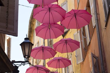 Grasse, dünyanın parfüm başkenti, Fransız Rivierası