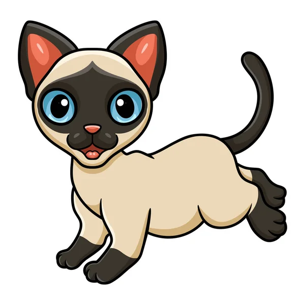 Διάνυσμα Εικονογράφηση Του Χαριτωμένο Siamese Γάτα Πόδια — Διανυσματικό Αρχείο