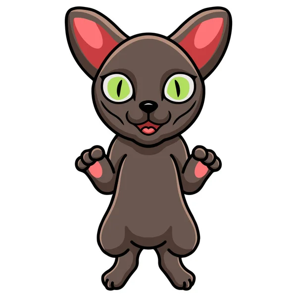 Cute Korat猫卡通画的矢量图解 — 图库矢量图片