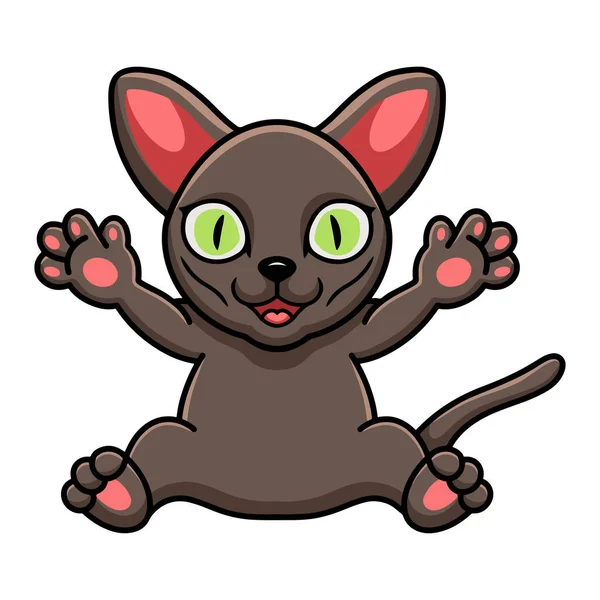 Vector Illustratie Van Schattige Korat Kat Cartoon Verhogen Handen — Stockvector