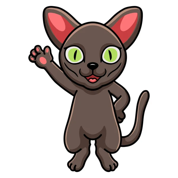 Wektor Ilustracja Cute Korat Kot Kreskówka Macha Ręką — Wektor stockowy