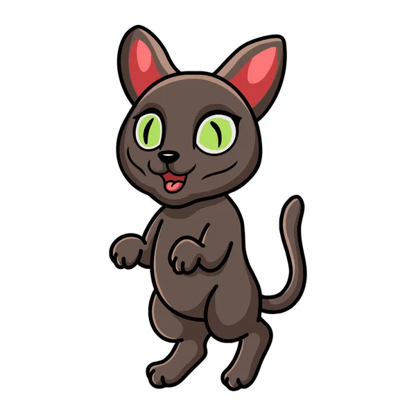 Ilustración Vectorial Lindo Korat Gato Dibujos Animados Pie — Vector de stock