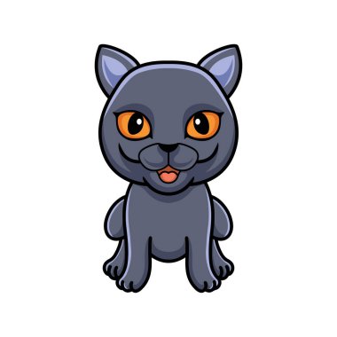 Şirin İngiliz kısa hava kedisi çizgi filminin vektör çizimi