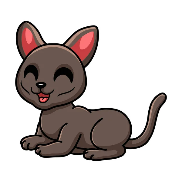 Vektorillustration Von Cute Korat Cat Cartoon Sitting — Stockvektor