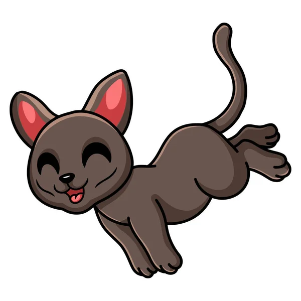 Διάνυσμα Εικονογράφηση Του Χαριτωμένο Korat Γάτα Άλμα Κινουμένων Σχεδίων — Διανυσματικό Αρχείο