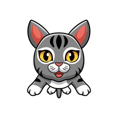 Uçan Şirin Manx Kedi Çizgi Filminin Vektör İllüstrasyonu