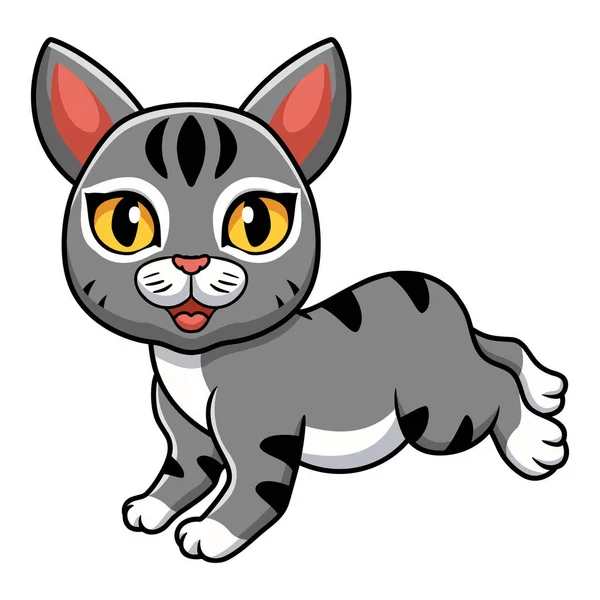 Διάνυσμα Εικονογράφηση Του Χαριτωμένο Γάτα Manx Περπάτημα Κινουμένων Σχεδίων — Διανυσματικό Αρχείο