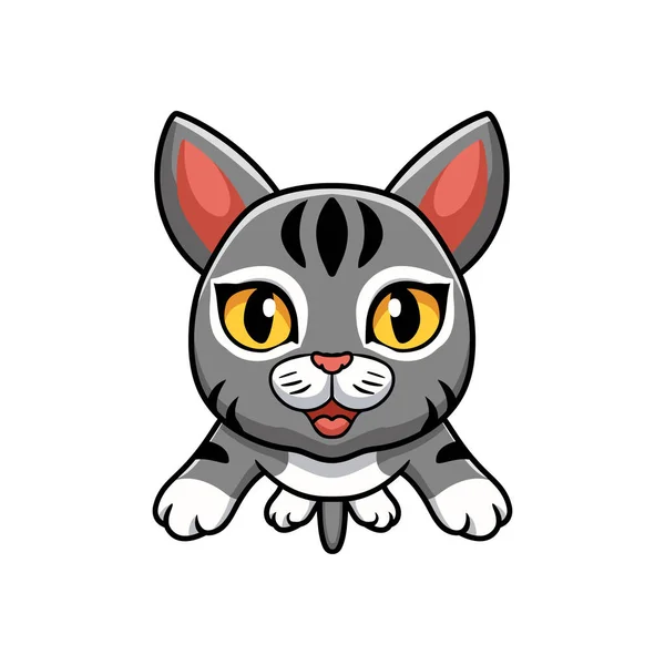 Vector Illustration Cute Manx Cat Cartoon Flying — 스톡 벡터