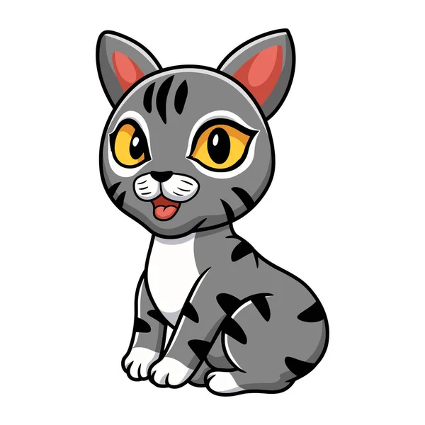 Διάνυσμα Εικονογράφηση Του Χαριτωμένο Manx Γάτα Καρτούν Συνεδρίαση — Διανυσματικό Αρχείο