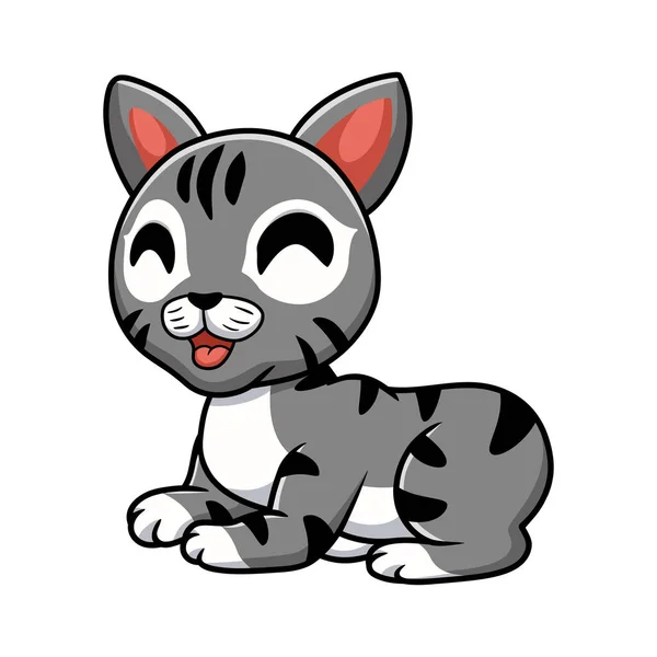 Vector Illustration Cute Manx Cat Cartoon Sitting — Stock Vector
