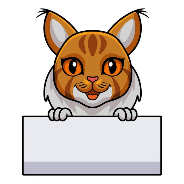 Vector Ilustración Lindo Maine Coon Gato Dibujos Animados Sosteniendo Blanco — Archivo Imágenes Vectoriales