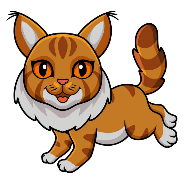 Ilustração Vetorial Desenho Animado Bonito Maine Coon Cat — Vetor de Stock