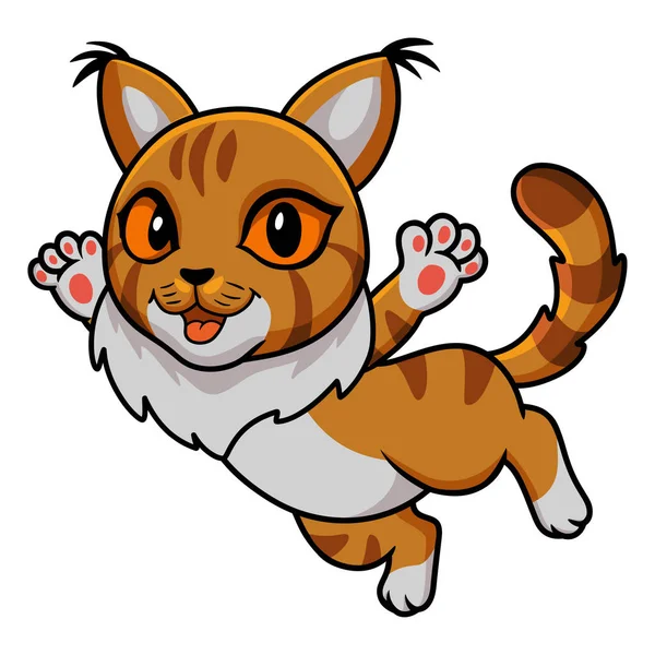 Illustrazione Vettoriale Carino Maine Coon Cat Cartoon Flying — Vettoriale Stock