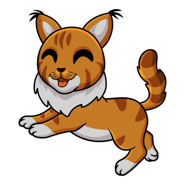 Vector Illustration Cute Maine Coon Cat Cartoon — Stock Vector