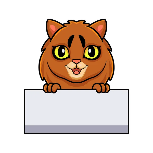 Vektorová Ilustrace Roztomilé Somálské Kočky Kreslené Drží Prázdný Znak — Stockový vektor