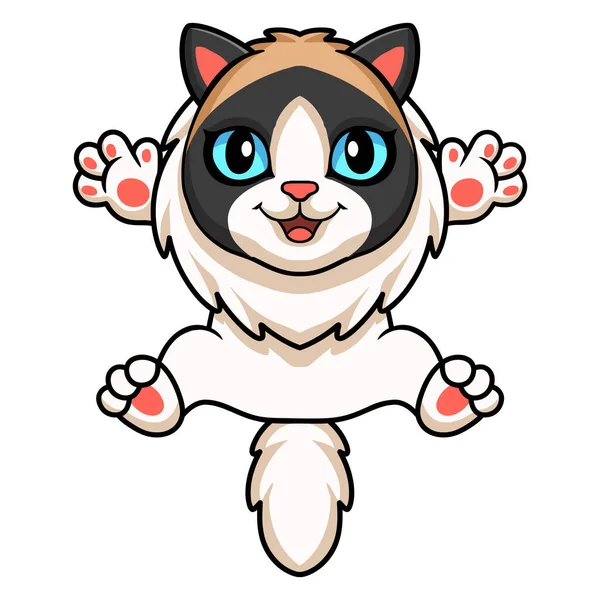 Vector Illustration Cute Rag Doll Cat Cartoon — Stock Vector