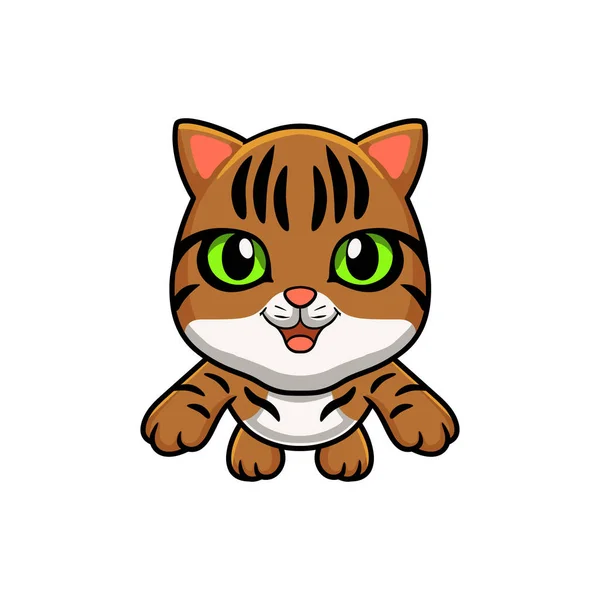 Wektor Ilustracja Cute Bengal Kot Kreskówka Latanie — Wektor stockowy