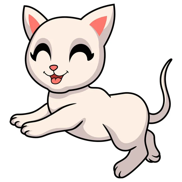 Векторная Иллюстрация Мультфильму Cute Khao Manee Cat — стоковый вектор