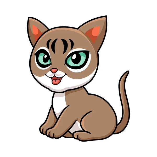 Wektor Ilustracja Cute Singapura Kot Kreskówka Siedzi — Wektor stockowy