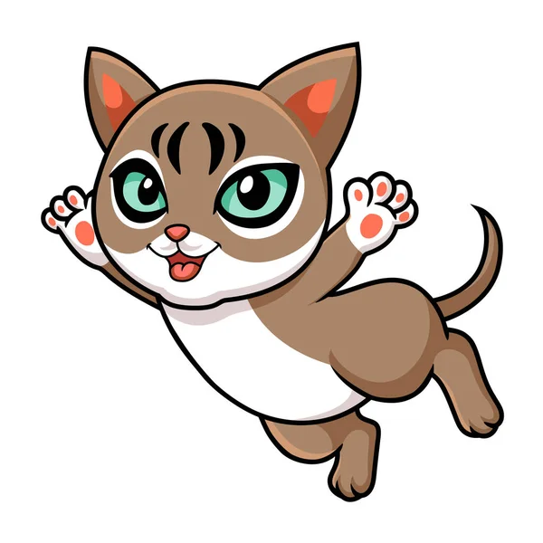 Vektorillustration Von Cute Singapura Cat Cartoon Flying — Stockvektor
