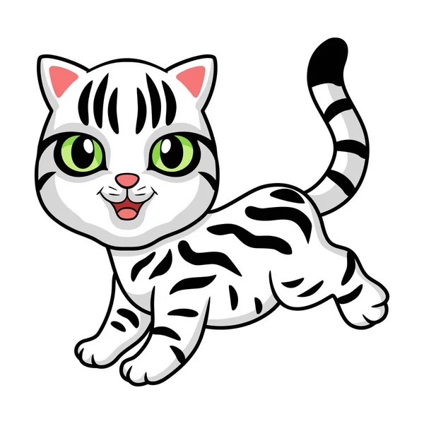 Ilustración Vectorial Lindo Americano Pelo Corto Gato Dibujos Animados — Vector de stock
