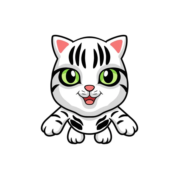 Ilustración Vectorial Lindo Americano Pelo Corto Gato Dibujos Animados Vuelo — Vector de stock