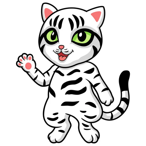 Vector Illustration Cute American Short Hair Cat Cartoon Waving Hand — Stock Vector
