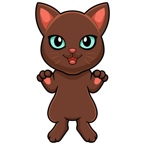 Vector Illustration Cute Havana Brown Cat Cartoon — Stock Vector
