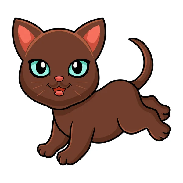 Illustration Vectorielle Dessin Animé Cute Havana Brown Cat — Image vectorielle
