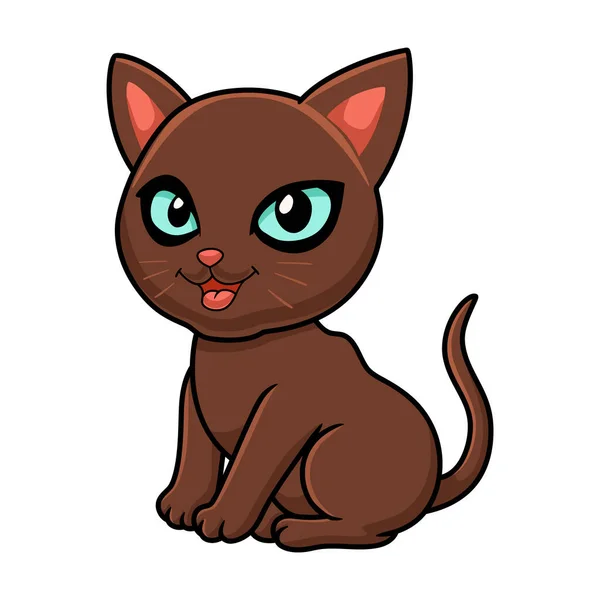 Vector Illustration Cute Havana Brown Cat Cartoon — Stock Vector