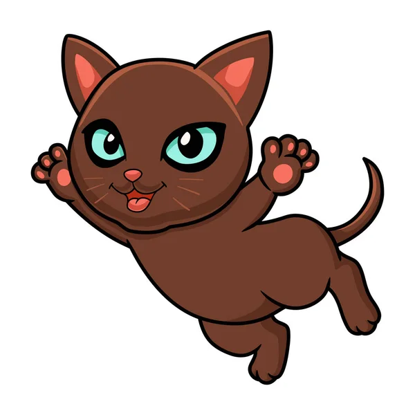 Vector Illustration Cute Havana Brown Cat Cartoon Flying — Stock Vector