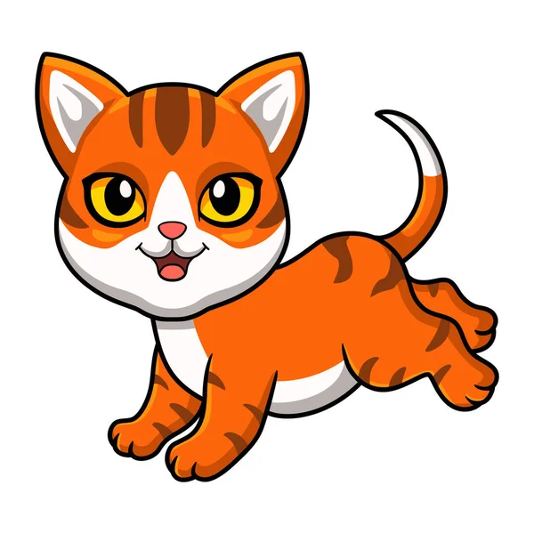 Wektor Ilustracja Cute Pomarańczowy Tabby Kot Kreskówka — Wektor stockowy