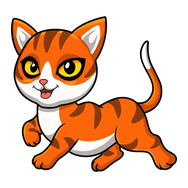 Ilustración Vectorial Dibujos Animados Lindo Gato Naranja Tabby — Vector de stock