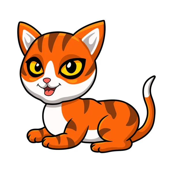 Vector Illustration Cute Orange Tabby Cat Cartoon — Stock Vector