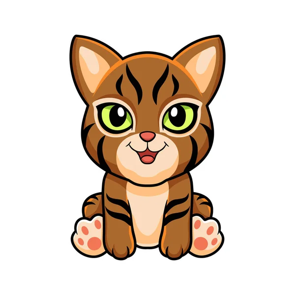 Ilustração Vetorial Desenho Animado Bonito Pixie Bob Cat — Vetor de Stock