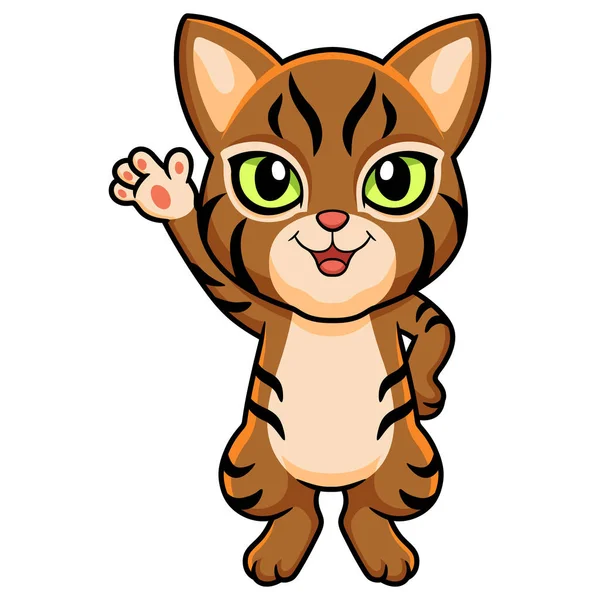 Vector Illustration Cute Pixie Bob Cat Cartoon Waving Hand — Stock Vector