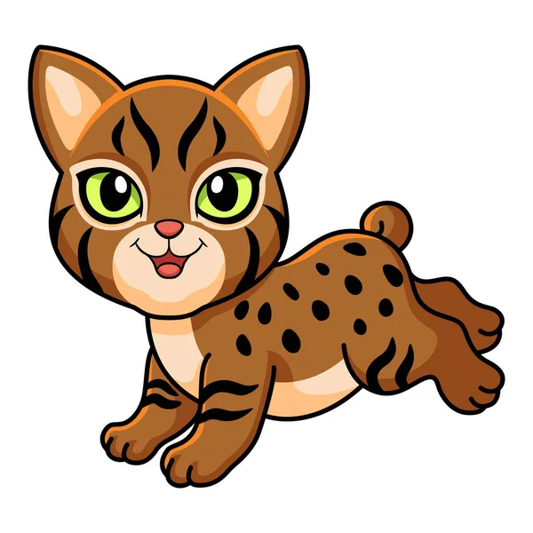ベクトル図のかわいいピクシーボブ猫漫画 — ストックベクタ